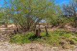 16180 San Pedro River Road - Photo 9