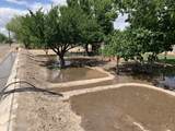 2972 Michaud Lane - Photo 31