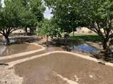 2972 Michaud Lane - Photo 33