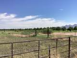 10023 Bell Road - Photo 35