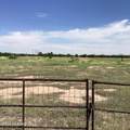 10023 Bell Road - Photo 36