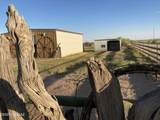 10023 Bell Road - Photo 37