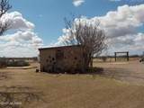 10023 Bell Road - Photo 46