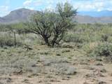 36.8 Acres Old Stewart Road - Photo 11