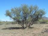 36.8 Acres Old Stewart Road - Photo 12