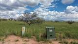 TBD Wild Antelope Place - Photo 11