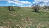 TBD Wild Antelope Place - Photo 12