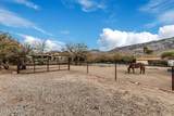 15850 Razorback Ridge Trail - Photo 13