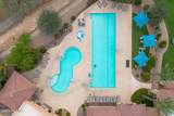 14037 Cariole Street - Photo 47