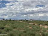 TBD Chiricahua Drive - Photo 12
