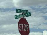 TBD Chiricahua Drive - Photo 4