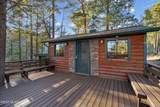 12528 Middle Sabino Road - Photo 18