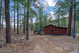 12528 Middle Sabino Road - Photo 28