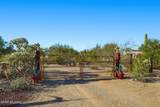 2848 Desert Rose Drive - Photo 10