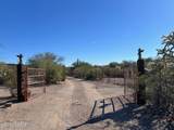 2848 Desert Rose Drive - Photo 11