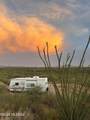 11640&50 Lava Peak Road - Photo 9