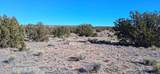 38 Acres 24 County Rd N6578 - Photo 1