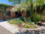 2546 Avenida De Maria - Photo 47