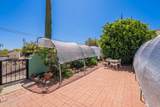 625 Camino Corto - Photo 28