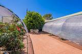 625 Camino Corto - Photo 29