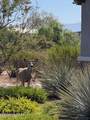 3566 Molino Canyon Place - Photo 37