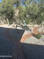 4441 4th Street - Photo 22