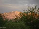11122 Desert Flower Drive - Photo 28