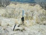 TBD 24 AC Pinery Canyon Road - Photo 9