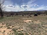 25317 Talking Wind Trail - Photo 40