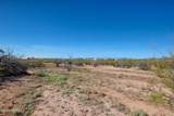 9099 Atterbury Wash Way - Photo 48