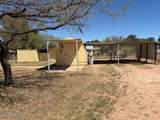 301 Mescal Road - Photo 29