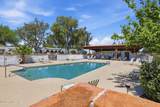 436 Paseo Madera - Photo 11