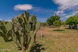 10783 Swan Road - Photo 36