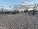 13643 Bright Sky Loop - Photo 3