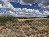 1369 Cattlemans Loop - Photo 1