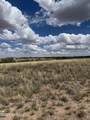 1369 Cattlemans Loop - Photo 2