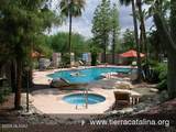 6470 Tierra De Las Catalinas - Photo 24