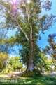 4550 Flowing Wells Road - Photo 43
