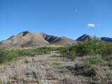 36.8 Acres Dragoon Road - Photo 10