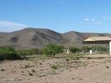 36.8 Acres Dragoon Road - Photo 11