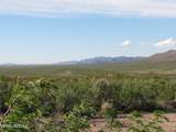 36.8 Acres Dragoon Road - Photo 12