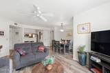 5751 Kolb Road - Photo 6