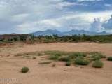 194 Palomino Run Place - Photo 12