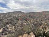 12 acres Golder Dam Road - Photo 10