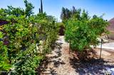 1016 Mescal Drive - Photo 9