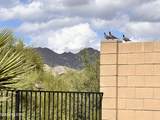 13289 Rainbow Cactus Court - Photo 38