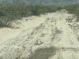 9.19 Acres Hannah Lane - Photo 13