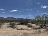 9.19 Acres Hannah Lane - Photo 17