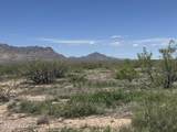9.19 Acres Hannah Lane - Photo 18