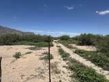 9.19 Acres Hannah Lane - Photo 3